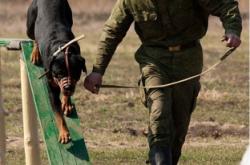赤峰市军犬基地电话地址查询