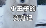 天津到赤峰客运专线电话号码