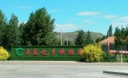 赤峰东乌旗车队电话多少号