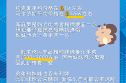 赤峰约克夏犬舍电话地址查询
