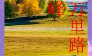 赤峰烽通旅馆电话多少号码