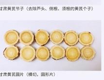 赤峰市黄芪苗子销售价