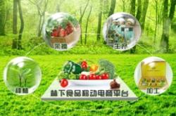 赤峰市移动电商公司电话号码