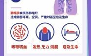 赤峰肺瘤医院地址电话查询号码