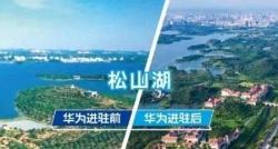 赤峰市华为总部电话是多少号