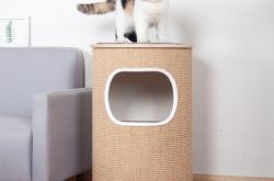 赤峰猫抓板工厂电话号码查询