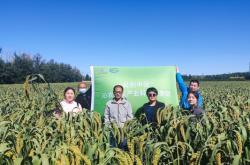 赤峰回敖汉出租车电话号码