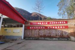 赤峰冻青收购电话号码查询地址