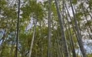 赤峰锦山照相馆地址电话号码