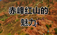 赤峰市红山珍珍诊所电话号码