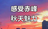 赤峰翩然舞馆地址电话号码查询