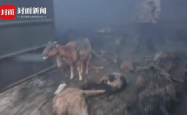 赤峰保温羊棚电话号码多少号
