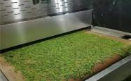 赤峰圣达机动车维修电话号码