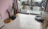 赤峰市便宜宠物店电话号码