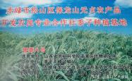 赤峰辅太医中医馆电话号码是多少