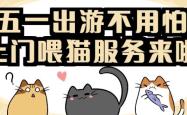 赤峰有上门喂猫的吗电话号码