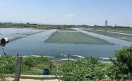 内蒙赤峰肉驴养殖基地电话号码
