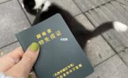 内蒙古赤峰办狗证电话号码