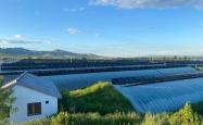 赤峰85号采摘园团购电话号码