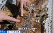 赤峰扣肉加工厂家地址电话号码