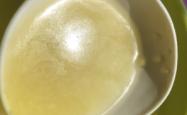 赤峰膨大剂批发商家电话号码