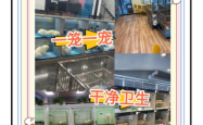 赤峰宠物店联系方式