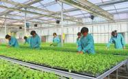 赤峰新士力游泳馆电话号码