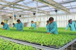 赤峰新士力游泳馆电话号码