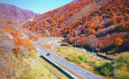 赤峰林西川菜馆地址电话号码