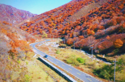 赤峰林西川菜馆地址电话号码