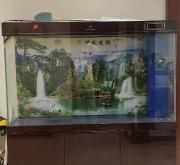 赤峰三桥鱼缸厂家电话号码