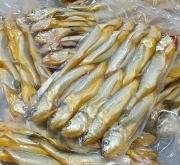 赤峰大黄花鱼批发电话号码