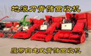 赤峰青储玉米回收电话号码是多少