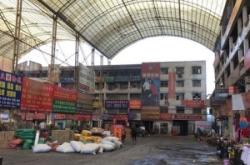 赤峰红嘴鸭苗批发市场电话号码