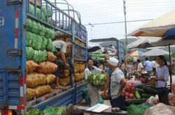 赤峰冰冻玫瑰批发市场电话号码