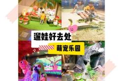 赤峰萌宠宠物乐园电话多少号