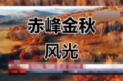 赤峰坤罡武馆电话多少号码