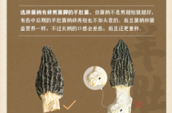 赤峰收购羊肚菌电话号码多少