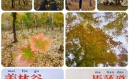 赤峰市美林镇古山村电话号码