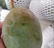 赤峰卖凯特芒果的电话号码是多少