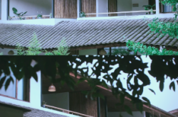 彭州赤峰镇马姐民宿电话号码