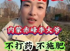赤峰土豆基地电话多少啊