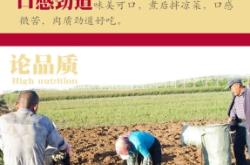 赤峰市中药馆电话号码多少