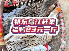 赤峰吃货鸭子电话号码多少号