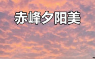 赤峰慕宗勋兽药店电话地址查询