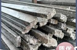 赤峰市种兔厂家电话地址查询