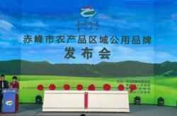 赤峰农产品收购电话号码