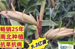 赤峰苞谷种子厂家电话地址查询