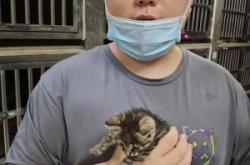 赤峰宠物病狗救助站电话号码