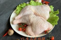 赤峰卖鸡冻货电话号码查询